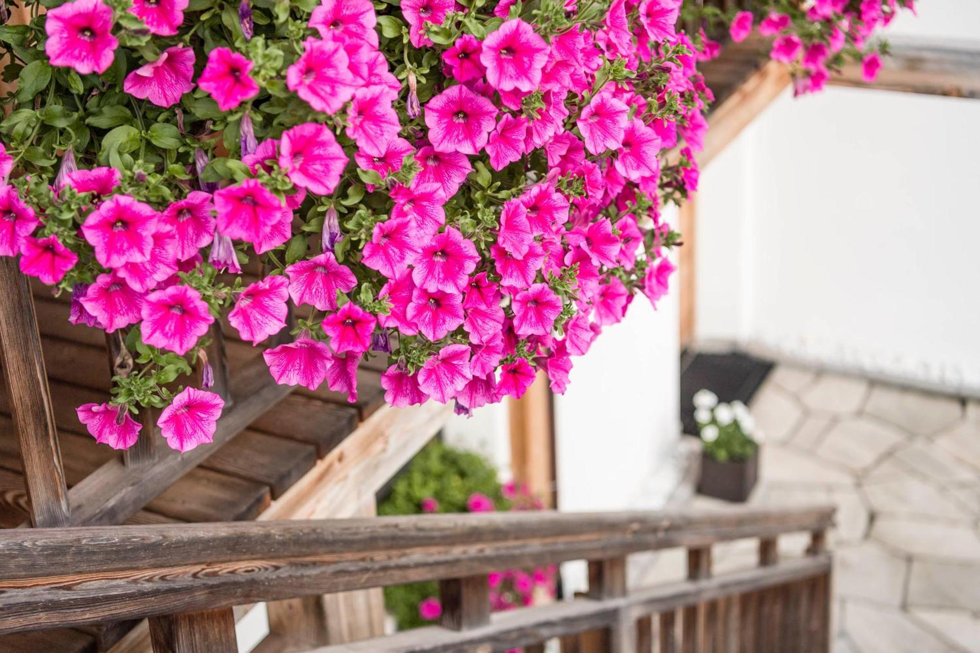 Agriturismo Maso Runch Badia (South Tyrol) Exterior foto