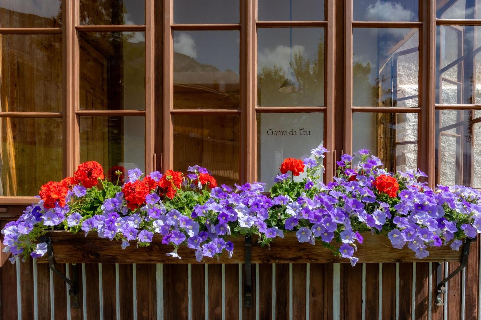Agriturismo Maso Runch Badia (South Tyrol) Exterior foto
